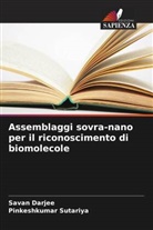 Savan Darjee, Pinkeshkumar Sutariya - Assemblaggi sovra-nano per il riconoscimento di biomolecole
