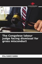 Elie KAKO KANU - The Congolese labour judge facing dismissal for gross misconduct