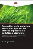 Sandeepc Sirohi - Évaluation de la pollution atmosphérique sur les plantes exposées à la pollution automobile