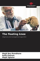 Majdi Ben Romdhane, Rafik Elafram, Majdi Sghaier - The floating knee