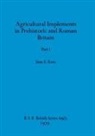 Sian E. Rees - Agricultural Implements in Prehistoric and Roman Britain, Part i