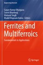 Khalid Mujasam Batoo, Sumit Bhardwaj, Gagan Kumar Bhargava, Mahavir Singh, Mahavir Singh et al - Ferrites and Multiferroics