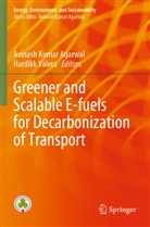 Avinash Kumar Agarwal, Avinash Kumar Agarwal, Valera, Hardikk Valera - Greener and Scalable E-fuels for Decarbonization of Transport