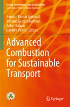 Avinash Kumar Agarwal, Antonio García Martínez, Ankur Kalwar, Ankur Kalwar et al, Antonio García Martínez, Hardikk Valera - Advanced Combustion for Sustainable Transport