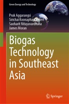 Pruk Aggarangsi, Sirichai Koonaphapdeelert, James Moran, Nitaya, Saoharit Nitayavardhana - Biogas Technology in Southeast Asia