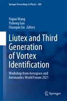 Yisheng Gao, Chaoqun Liu, Yiqian Wang - Liutex and Third Generation of Vortex Identification