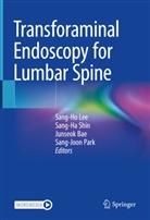 Junseok Bae, Junseok Bae et al, Sang-Ho Lee, Sang-Joon Park, Sang-Ha Shin, Wooridul Hospital - Transforaminal Endoscopy for Lumbar Spine