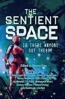 Devora Gray - The Sentient Space - Log Entry 1