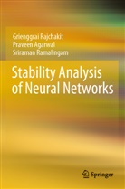 Praveen Agarwal, Grienggrai Rajchakit, Ramalingam, Sriraman Ramalingam - Stability Analysis of Neural Networks