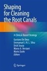 Gustavo De Deus, Emmanuel J N L Silva, Emmanuel J. N. L. Silva, Erick Souza, Erick Souza et al, Marco A. Versiani... - Shaping for Cleaning the Root Canals