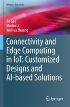 Jie Gao, Mushu Li, Weihua Zhuang - Connectivity and Edge Computing in IoT: Customized Designs and AI-based Solutions