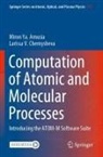 Miron Ya Amusia, Miron Ya. Amusia, Larissa V Chernysheva, Larissa V. Chernysheva - Computation of Atomic and Molecular Processes