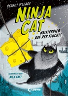 Dermot O'Leary, Nick East, Loewe Kinderbücher, Loewe Kinderbücher - Ninja Cat (Band 2) - Meisterdieb auf der Flucht!