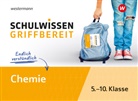 Iris Schneider - Schulwissen griffbereit