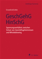 Ludwig Gramlich, Ludwig (Prof. Dr.) Gramlich, Hans-Josef Lütke, Hans-Josef (Dr Lütke - GeschGehG/HinSchG