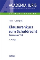 Karl-Heinz Fezer, Karl-Heinz (Dr.) Fezer, Eva Inés Obergfell, Eva Inés (Dr.) Obergfell, Ronny Hauck, Ronny Hauck (Dr.) - Klausurenkurs zum Schuldrecht Besonderer Teil