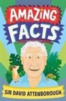 Hannah Wilson, Wilson Hannah, Chris Dickason, Dickason Chris, To Be Confirmed - Amazing Facts Every Kid Needs to Know
