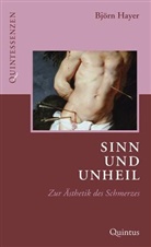 Björn Hayer - Sinn und Unheil
