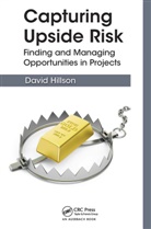 David Hillson, Hillson David - Capturing Upside Risk