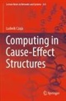 Ludwik Czaja - Computing in Cause-Effect Structures