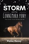 Elaine Heney - The Storm and the Connemara Pony - The Coral Cove Horses Series