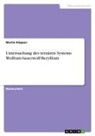 Martin Köppen - Untersuchung des ternären Systems Wolfram-Sauerstoff-Beryllium