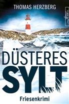 Thomas Herzberg - Düsteres Sylt