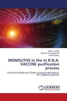 Khaled Edbey, Mauro Luisetto, Behzad Ahmadabadi NILI - MONOLITHS in the m R.N.A. VACCINE purification process