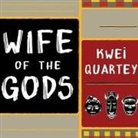 Kwei Quartey, Simon Prebble - Wife of the Gods Lib/E (Audio book)