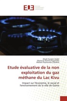 Ahadi Hussein André, Mafuko Nzamurata Claudine, Glorieuse Nsimire Rugamika - Etude évaluative de la non exploitation du gaz méthane du Lac Kivu