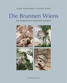 Gregor Auenhammer, Gregor Auenhammer, Gerhard Trumler, Gregor Auenhammer - Die Brunnen Wiens