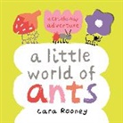 Cara Rooney - A Little World of Ants
