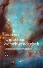 Arnold Benz - Unfassbar verschwenderisch