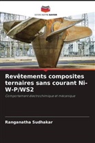 Ranganatha Sudhakar - Revêtements composites ternaires sans courant Ni-W-P/WS2