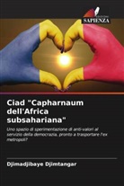 Djimadjibaye Djimtangar - Ciad "Capharnaum dell'Africa subsahariana"