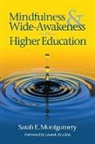 Sarah E. Montgomery - Mindfulness & Wide-Awakeness in Higher Education