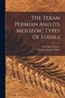 Charles Abiathar White, Geological Survey (U S - The Texan Permian And Its Mesozoic Types Of Fossils