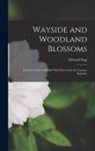Edward Step - Wayside and Woodland Blossoms: A Pocket Guide to British Wild-Flowers for the Country Rambler