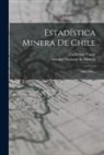 Guillermo Yunge, Ociedad Nacional de Minería (Chile) - Estadística Minera De Chile: 1904-1905