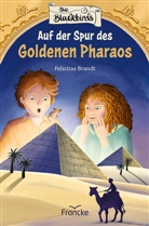 Felicitas Brandt, Brandt  Felicitas - Die Blackbirds - Auf der Spur des Goldenen Pharaos