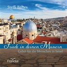 Steffi Baltes, Baltes  Steffi - Friede in deinen Mauern