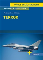 Ferdinand von Schirach - Terror von Ferdinand von Schirach - Textanalyse und Interpretation