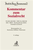 Sabine Knickrehm, Ralf Kreikebohm, Gundula Rossbach, Raimund Waltermann, Raimund Waltermann u a - Kommentar zum Sozialrecht