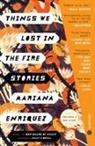 Mariana Enriquez, Megan McDowell - Things We Lost in the Fire