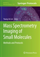 Young-Jin Lee - Mass Spectrometry Imaging of Small Molecules