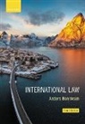Anders Henriksen, Anders (Former Professor Henriksen, Henriksen Anders - International Law