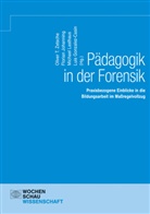 Luis Gonzalez-Casin, Florian Johanning, Michael Lasthaus, Michael Lasthaus u a, Oliver T. Zetsche - Pädagogik in der Forensik