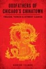 Charles Daly, Harrison Fillmore - Godfathers of Chicago's Chinatown
