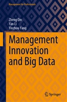 Yan Li, Zheng Qin, Yinzhou Yang - Management Innovation and Big Data