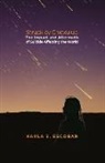 Karla S. Escobar - Struck by Chicxulub: The Impact and Aftermath of Suicide Affecting the World